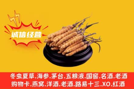 六安市回收冬虫夏草